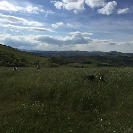 Agroturismo Agriturismo La Chiusola