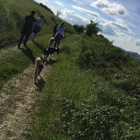 Agriturismo La Chiusola Vakantieboerderij Ozzano dell'Emilia