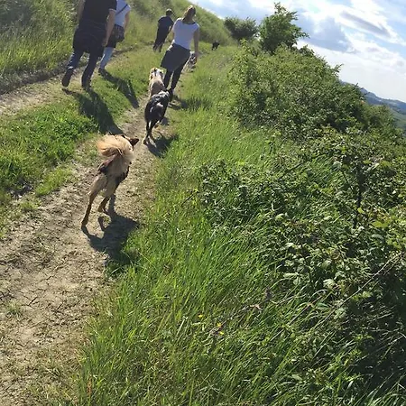 Agriturismo La Chiusola Feriegård *