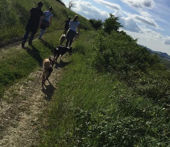 Agriturismo La Chiusola Agroturismo Ozzano dell'Emilia