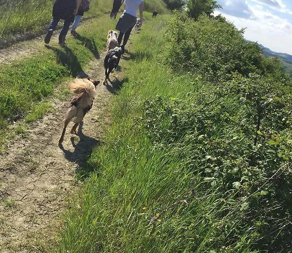 Agriturismo La Chiusola Agroturismo *